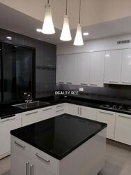 Four Seasons Park (D10), Condominium #497361201